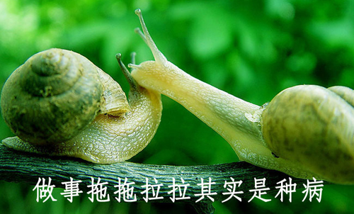 拒絕拖延從今天開(kāi)始，明天會(huì)更好(圖4)